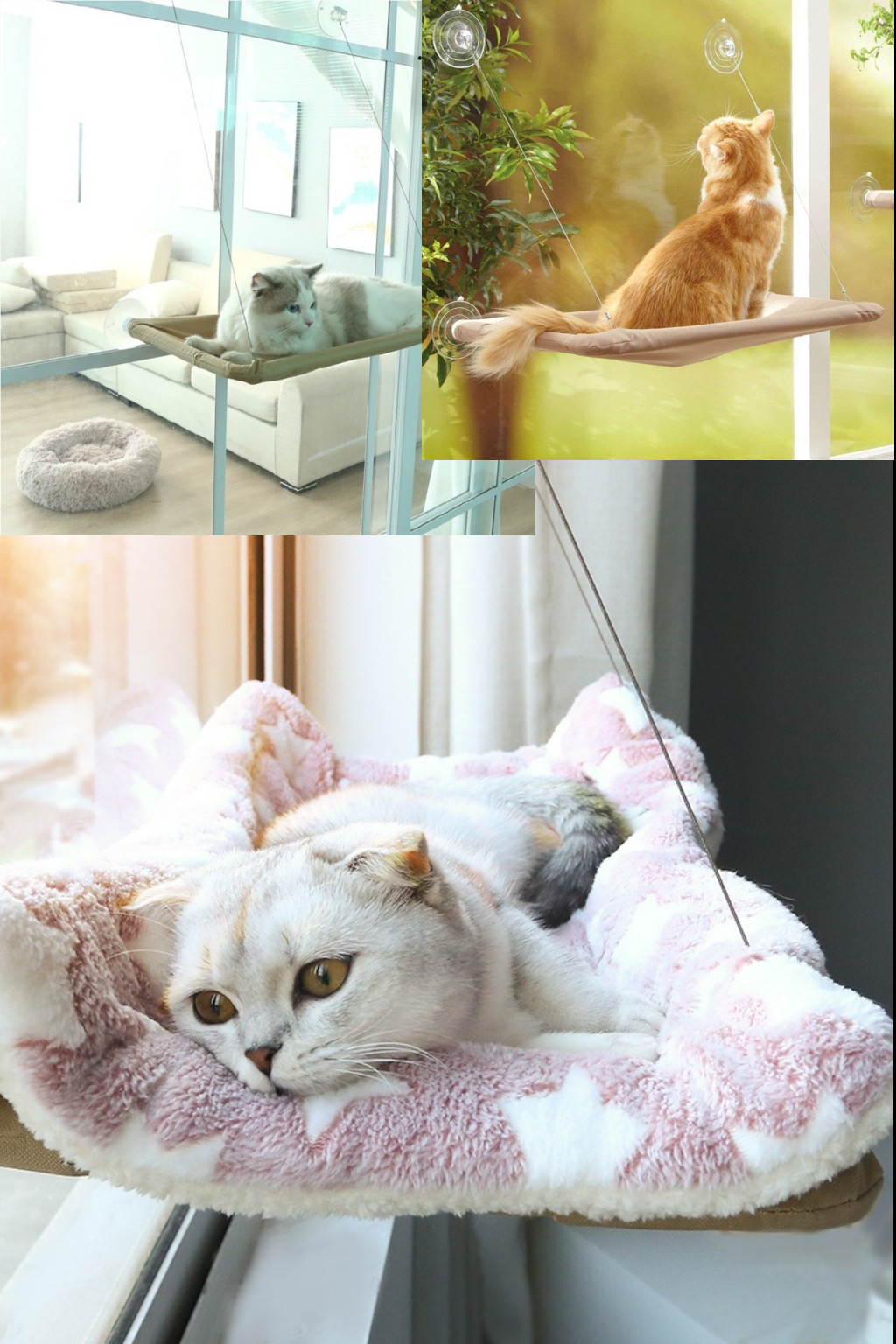 rede para gato2